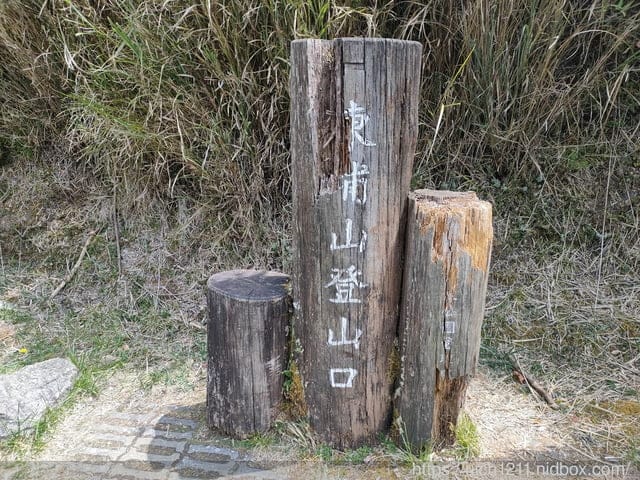 阿里山隨意走~ - 第3張圖 阿里山隨意走~