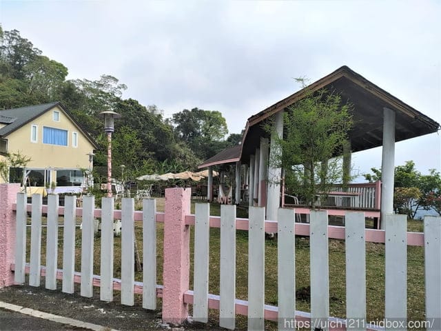 阿里山隨意走~ - 第12張圖 阿里山隨意走~