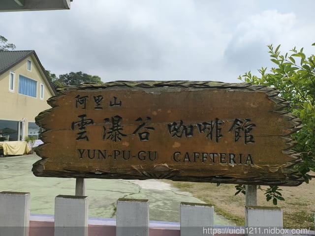 阿里山隨意走~ - 第13張圖 阿里山隨意走~
