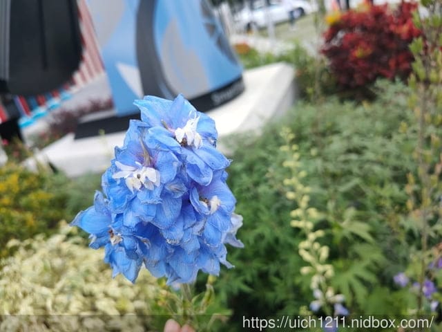 台泥DAKA園區