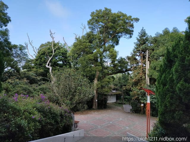 2021薑麻園桐花祭 - 第9張圖 2021薑麻園桐花祭