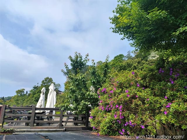 鍾鼎山林景觀餐廳 - 第11張圖 鍾鼎山林景觀餐廳