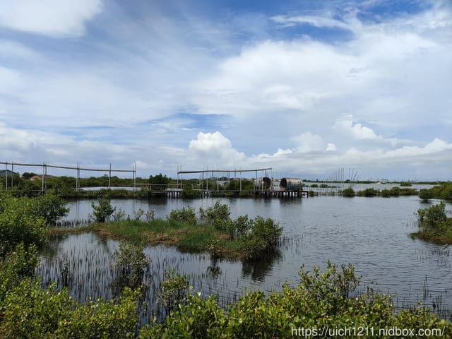 雲林口湖鄉之旅