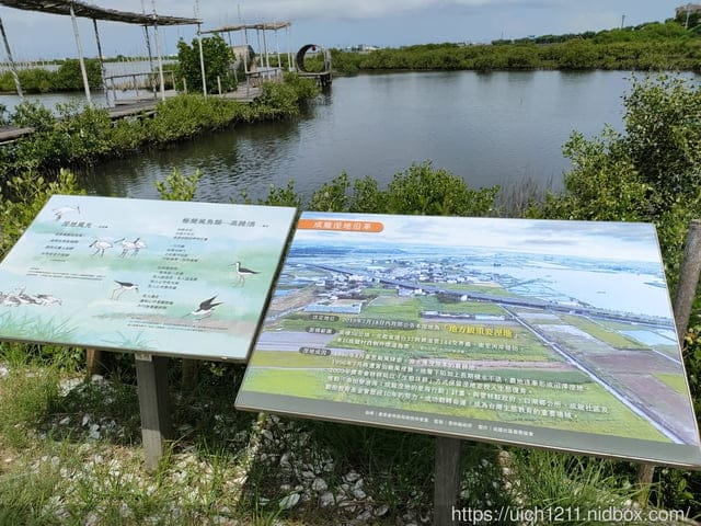 雲林口湖鄉之旅
