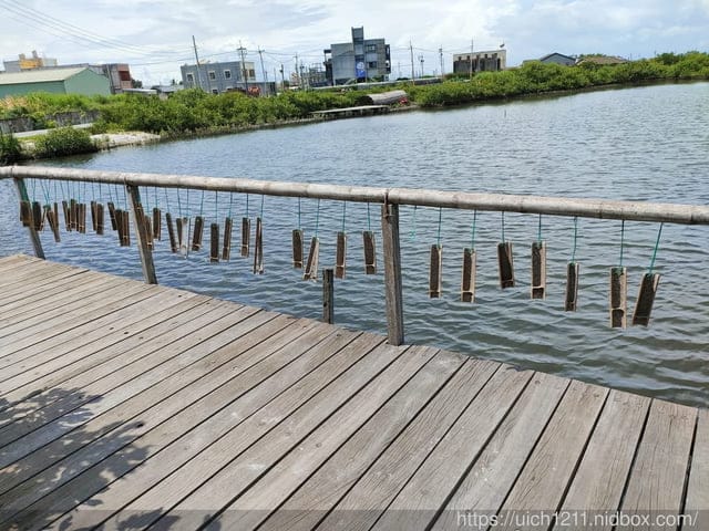 雲林口湖鄉之旅