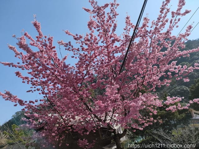 鎮西堡之旅~