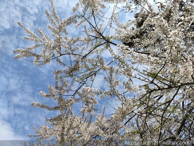 鎮西堡之旅~
