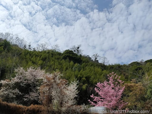 鎮西堡之旅~