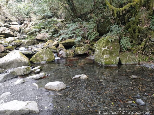 司馬庫斯 - 第48張圖 司馬庫斯