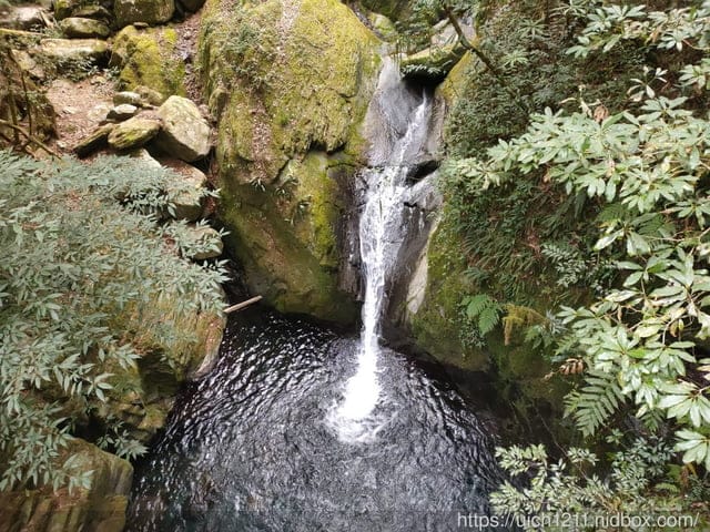 司馬庫斯 - 第52張圖 司馬庫斯