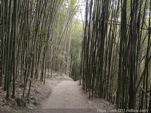 司馬庫斯 - 第30張圖 司馬庫斯