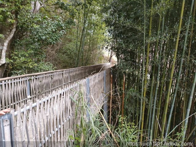 司馬庫斯 - 第23張圖 司馬庫斯