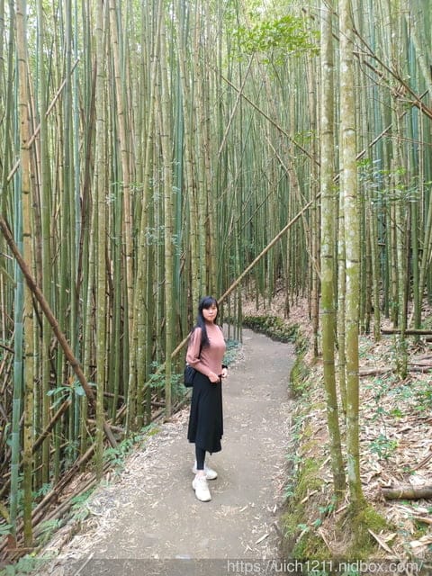 司馬庫斯 - 第58張圖 司馬庫斯