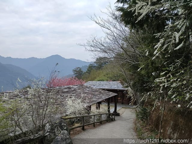 司馬庫斯 - 第17張圖 司馬庫斯