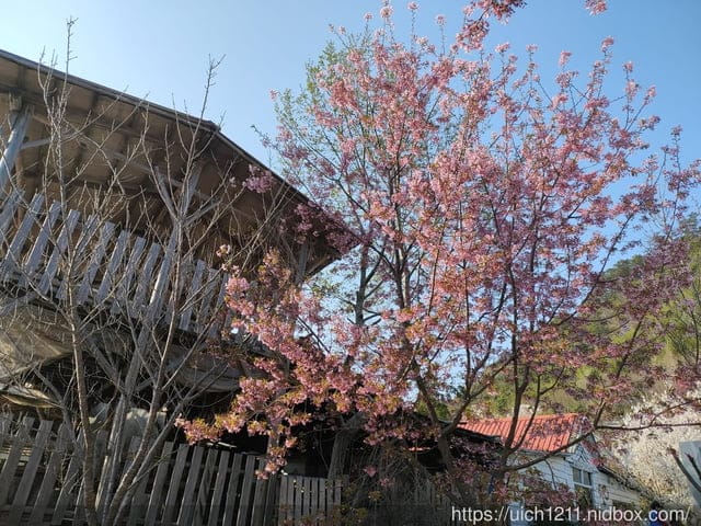 司馬庫斯 - 第7張圖 司馬庫斯