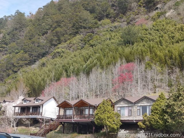 司馬庫斯 - 第62張圖 司馬庫斯