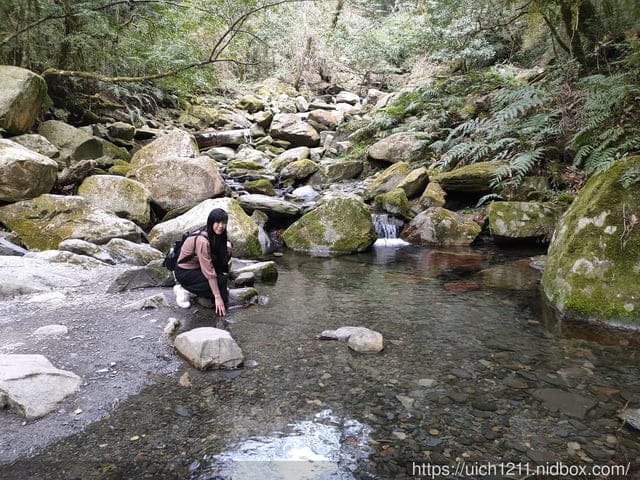 司馬庫斯 - 第47張圖 司馬庫斯