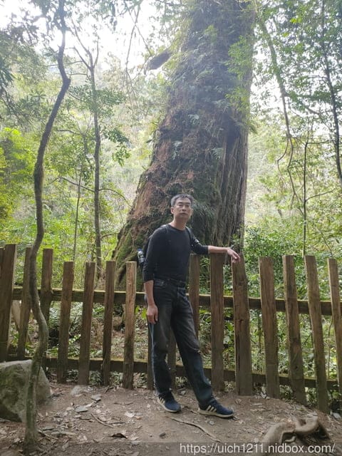 司馬庫斯 - 第43張圖 司馬庫斯
