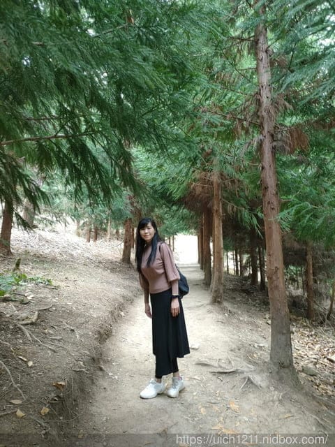司馬庫斯 - 第38張圖 司馬庫斯