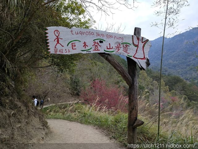 司馬庫斯 - 第28張圖 司馬庫斯