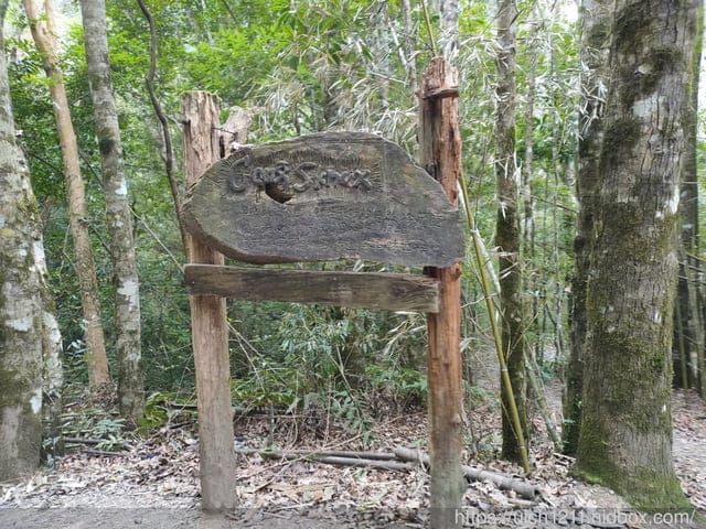 司馬庫斯 - 第31張圖 司馬庫斯