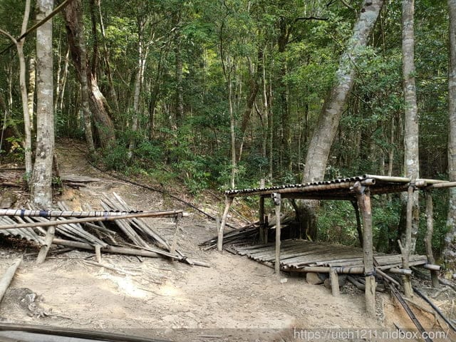 司馬庫斯 - 第54張圖 司馬庫斯