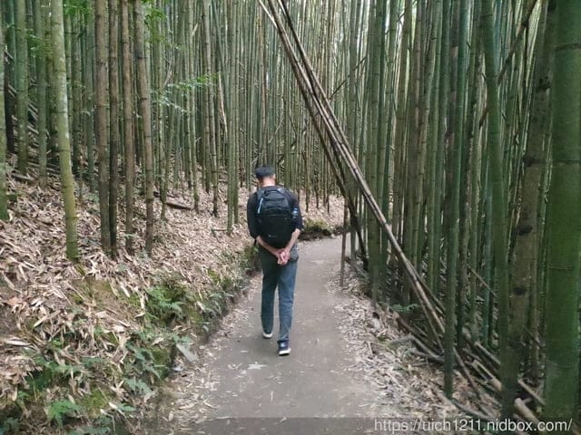 司馬庫斯 - 第33張圖 司馬庫斯