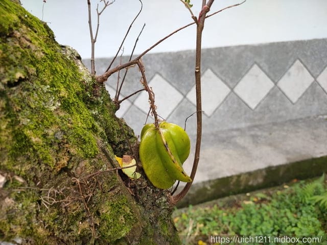 石門水庫之旅 - 第19張圖 石門水庫之旅