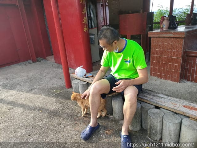 台東熱氣球