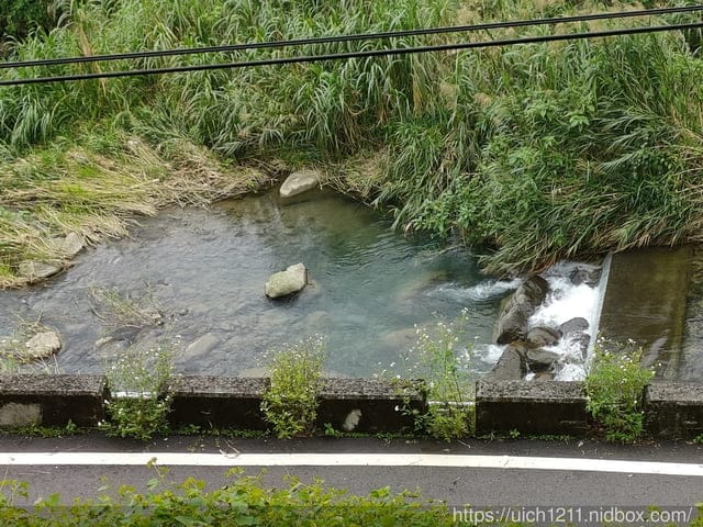 溪頭聽濤園渡假山莊民宿