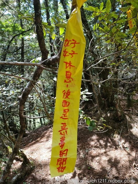白姑大山 - 第8張圖 白姑大山