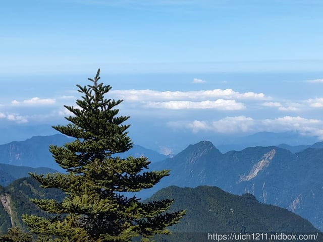 白姑大山 - 第22張圖 白姑大山
