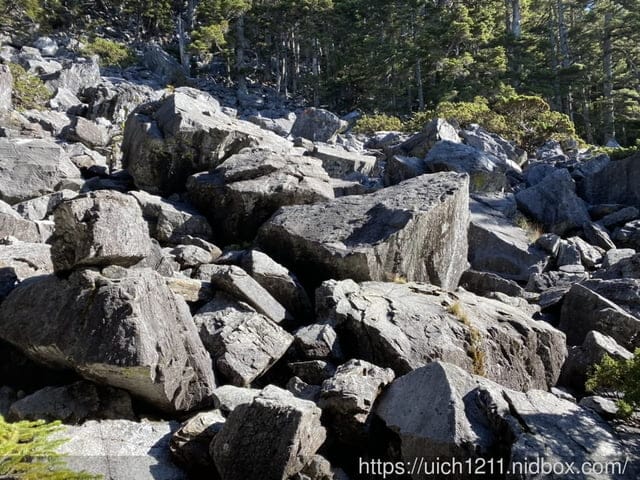 白姑大山 - 第12張圖 白姑大山