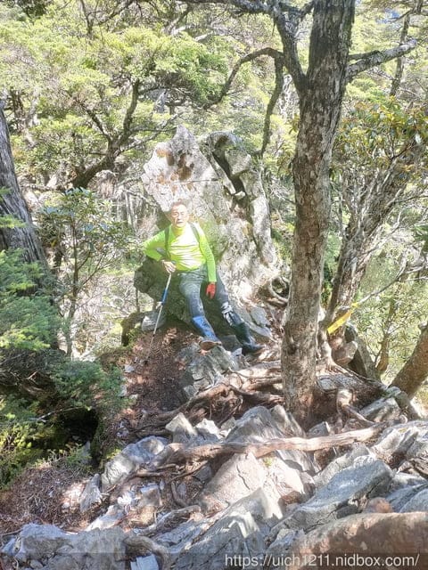 白姑大山 - 第25張圖 白姑大山