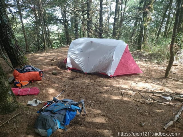 白姑大山 - 第15張圖 白姑大山