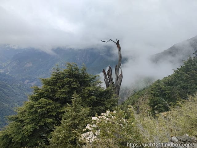 玉山後四峰 - 第18張圖 玉山後四峰