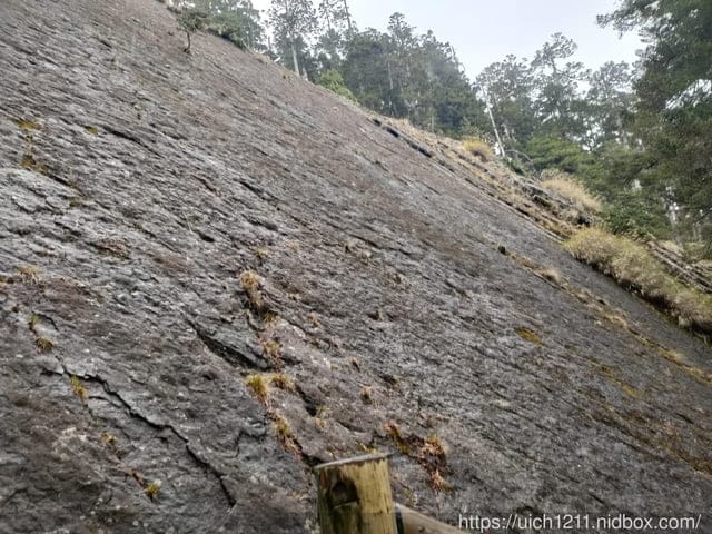 玉山後四峰 - 第23張圖 玉山後四峰