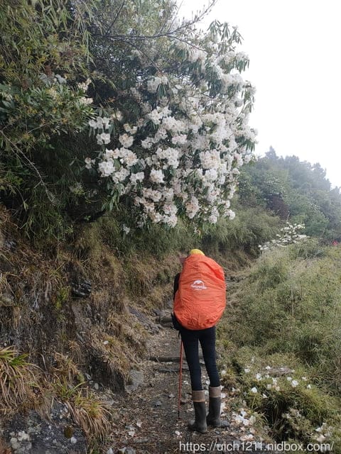玉山後四峰 - 第12張圖 玉山後四峰