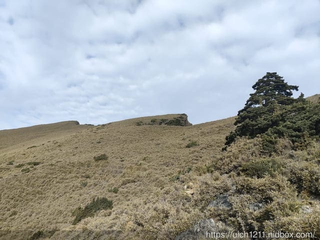 玉山後四峰 - 第70張圖 玉山後四峰