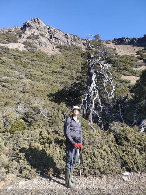 玉山後四峰 - 第41張圖 玉山後四峰