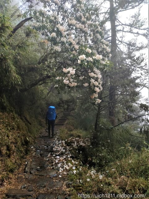 玉山後四峰 - 第15張圖 玉山後四峰