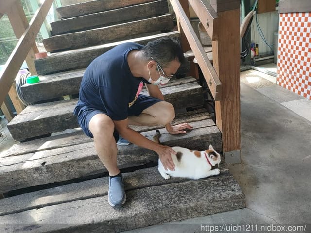 翡翠谷與貓尾巴咖啡廳