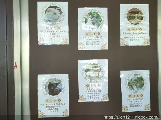 翡翠谷與貓尾巴咖啡廳