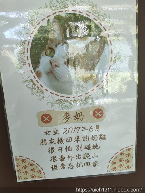 翡翠谷與貓尾巴咖啡廳