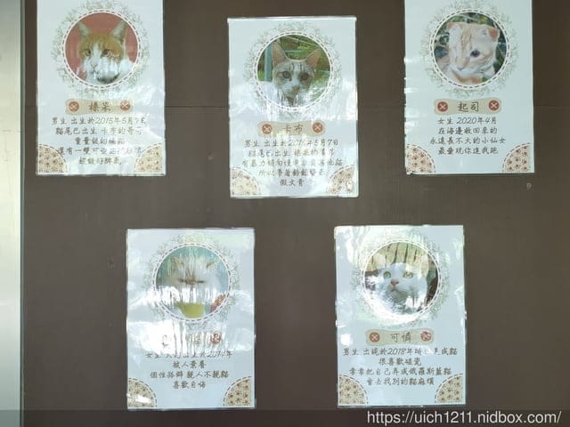 翡翠谷與貓尾巴咖啡廳