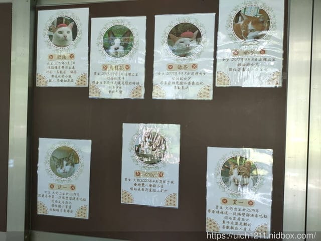 翡翠谷與貓尾巴咖啡廳