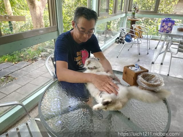 翡翠谷與貓尾巴咖啡廳