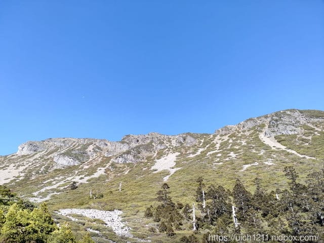 張美阿嬤農場與武陵雪山走走 - 第28張圖 張美阿嬤農場與武陵雪山走走