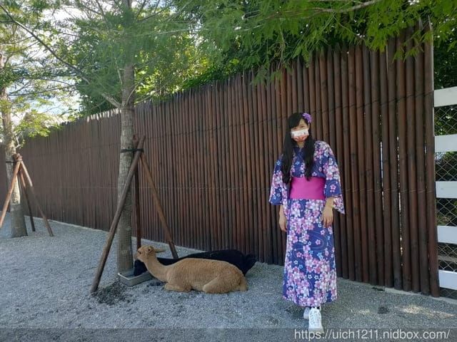 張美阿嬤農場與武陵雪山走走 - 第12張圖 張美阿嬤農場與武陵雪山走走