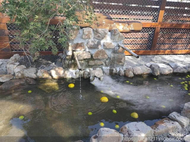 張美阿嬤農場與武陵雪山走走 - 第14張圖 張美阿嬤農場與武陵雪山走走